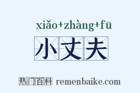 小丈夫是什么意思的图片